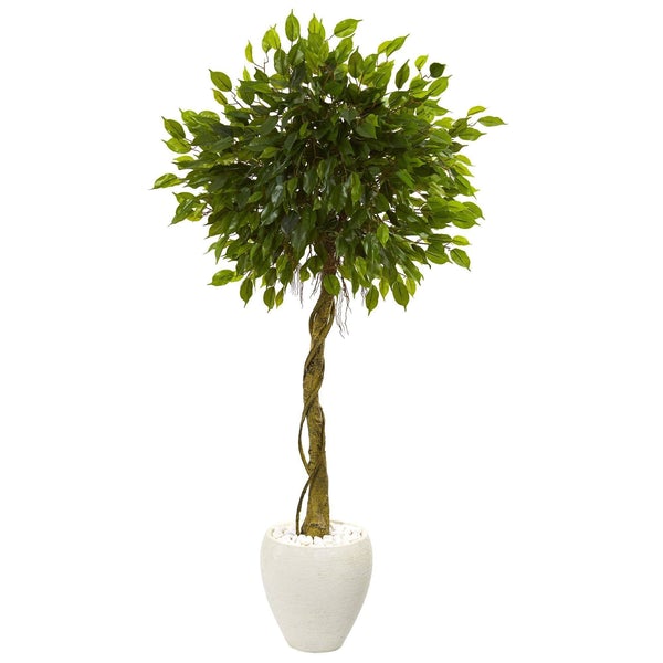 5.5’ Ficus Artificial Tree in White Oval Planter UV Resistant (Indoor/Outdoor) - life of kuhl @HOME